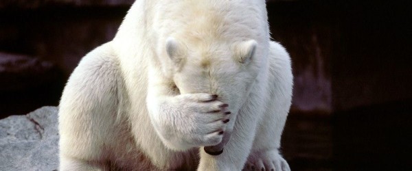 Student Grandmothers, mitigating circumstances, and&nbsp;process