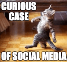 Screenshot 2017-09-25 14.54.30.png