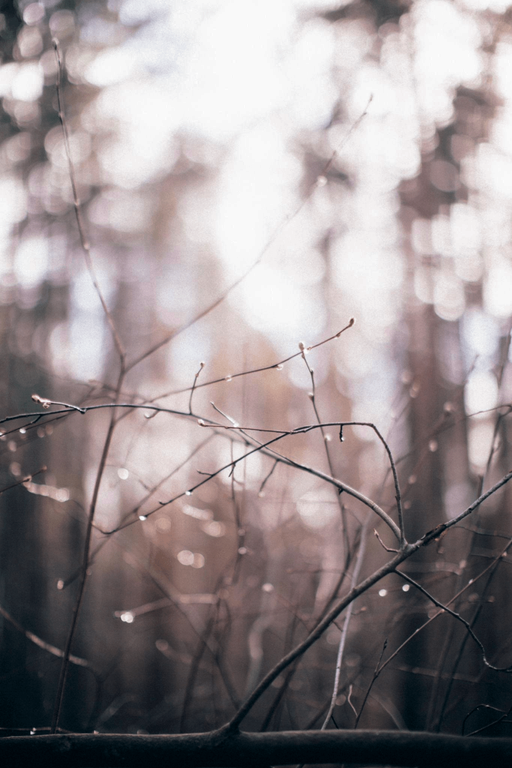 I Taught Philosophy for 20 Years. Here’s What I&nbsp;Learned.